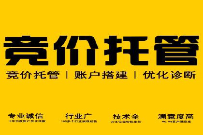 竞价广告推广公司成功故事：一例互联网企业的崛起之路